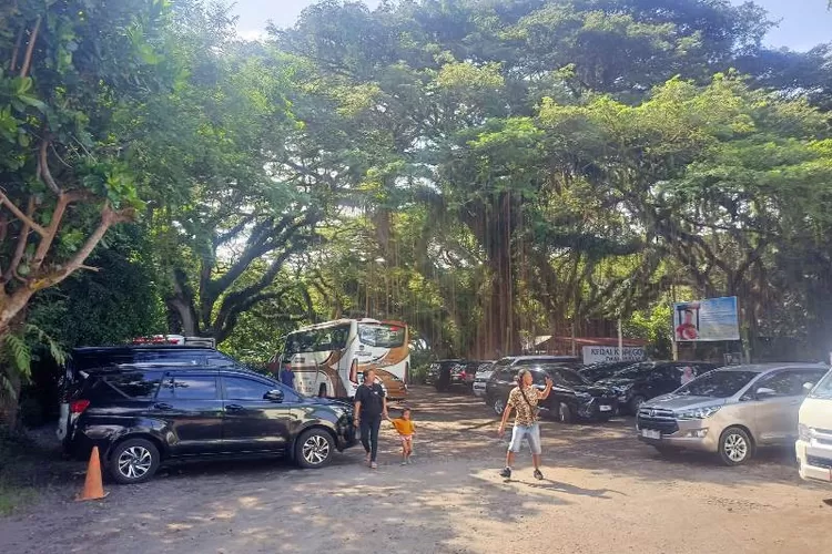 pengunjung-de-djawatan-di-dusun-purwosari,-desa-benculuk,-kecamatan-cluring-banyuwangi-membludak