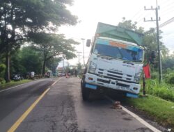 Truk Pengangkut Alutsista Nyaris Terguling di Wongsorejo, Roda Amblas Saat Menepi