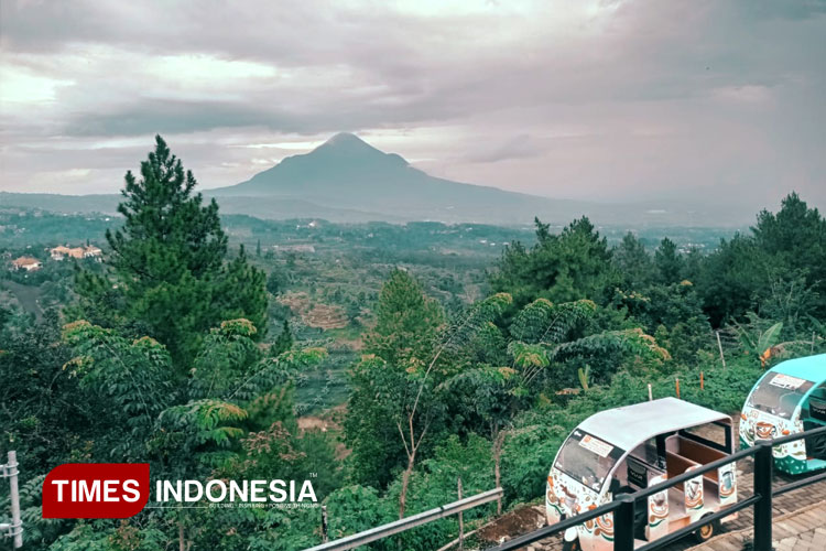 melihat-gemerlap kota-dari-pintu-langit-prigen,-sejenak-tinggalkan-surabaya-–-times-banyuwangi