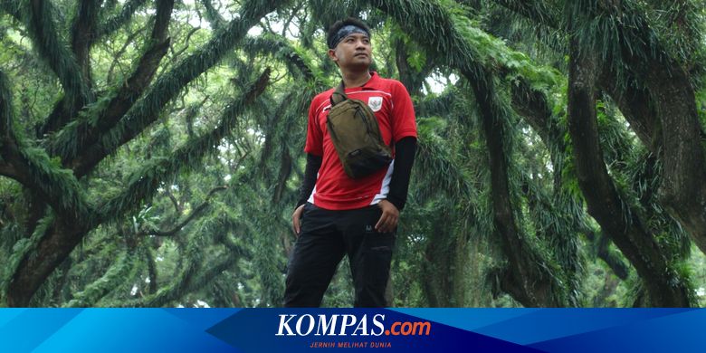 harga-tiket-dan-jam-buka-wisata-de-djawatan-forest-banyuwangi-2025