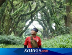 Ingin Foto Keren di De Djawatan Banyuwangi, Wisatawan Bisa Sewa Fotografer Murah