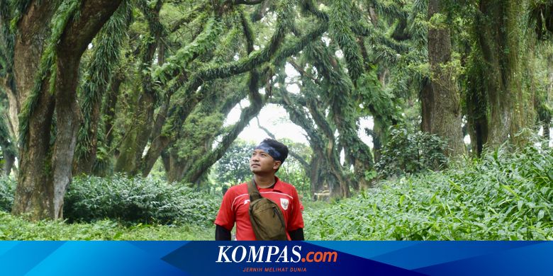 ingin-foto-keren-di-de-djawatan-banyuwangi,-wisatawan-bisa-sewa-fotografer-murah