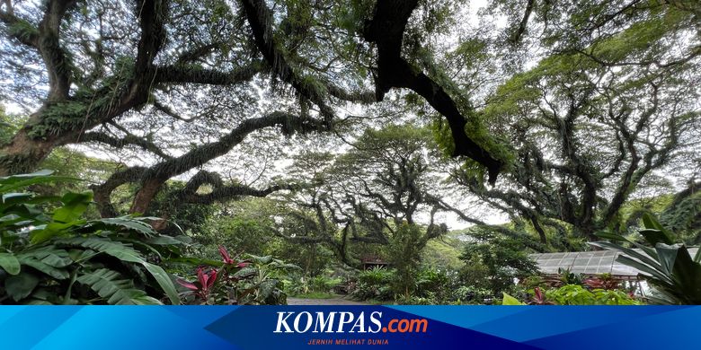 harga-foto-prewedding,-drone,-hingga-syuting-video-clip-di-de-djawatan-banyuwangi