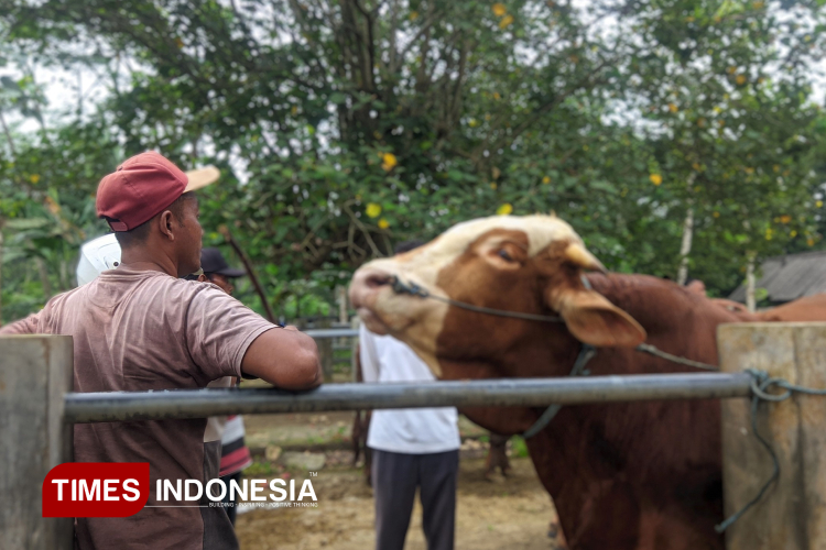 bolehkah-kurban-untuk-orang-yang-sudah-meninggal?-ini-pendapat-empat-mazhab-–-times-banyuwangi