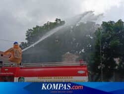 Ribuan Ulat Bulu Serang SDN 1 Kertosari, Siswa Panik Rasakan Panas dan Gatal, Damkar Turun Tangan