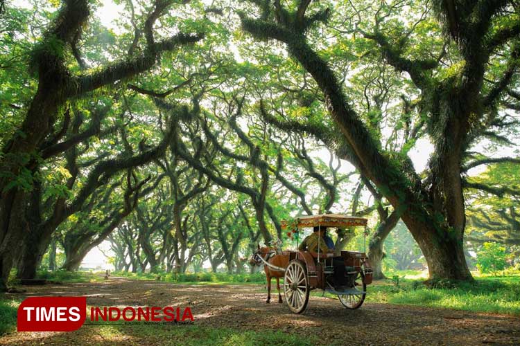 ini-4-destinasi-wisata-banyuwangi-paling-favorit-di-pertengahan-tahun-2025-–-times-banyuwangi