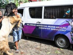 Jelang Idul Adha 2025, Dinas Pertanian Sisir Lapak Hewan Kurban di Banyuwangi – Tribunjatim.com