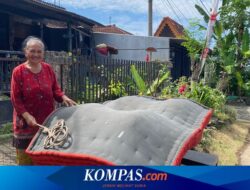 Tradisi Bulan Haji, Warga Suku Osing Banyuwangi Mepe Kasur Ramai-ramai