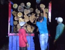 Petugas Gabungan Amankan Puluhan Glondong Kayu Jati Diduga Ilegal
