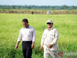 Cadangan Beras RI Tembus 4 Juta Ton, Sejarah Baru di Era Presiden Prabowo – TIMES Banyuwangi