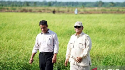 cadangan-beras-ri-tembus-4-juta-ton,-sejarah-baru-di-era-presiden-prabowo-–-times-banyuwangi