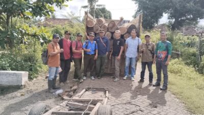 puluhan-glondongan-kayu-jati-ilegal-diamankan-petugas-gabungan