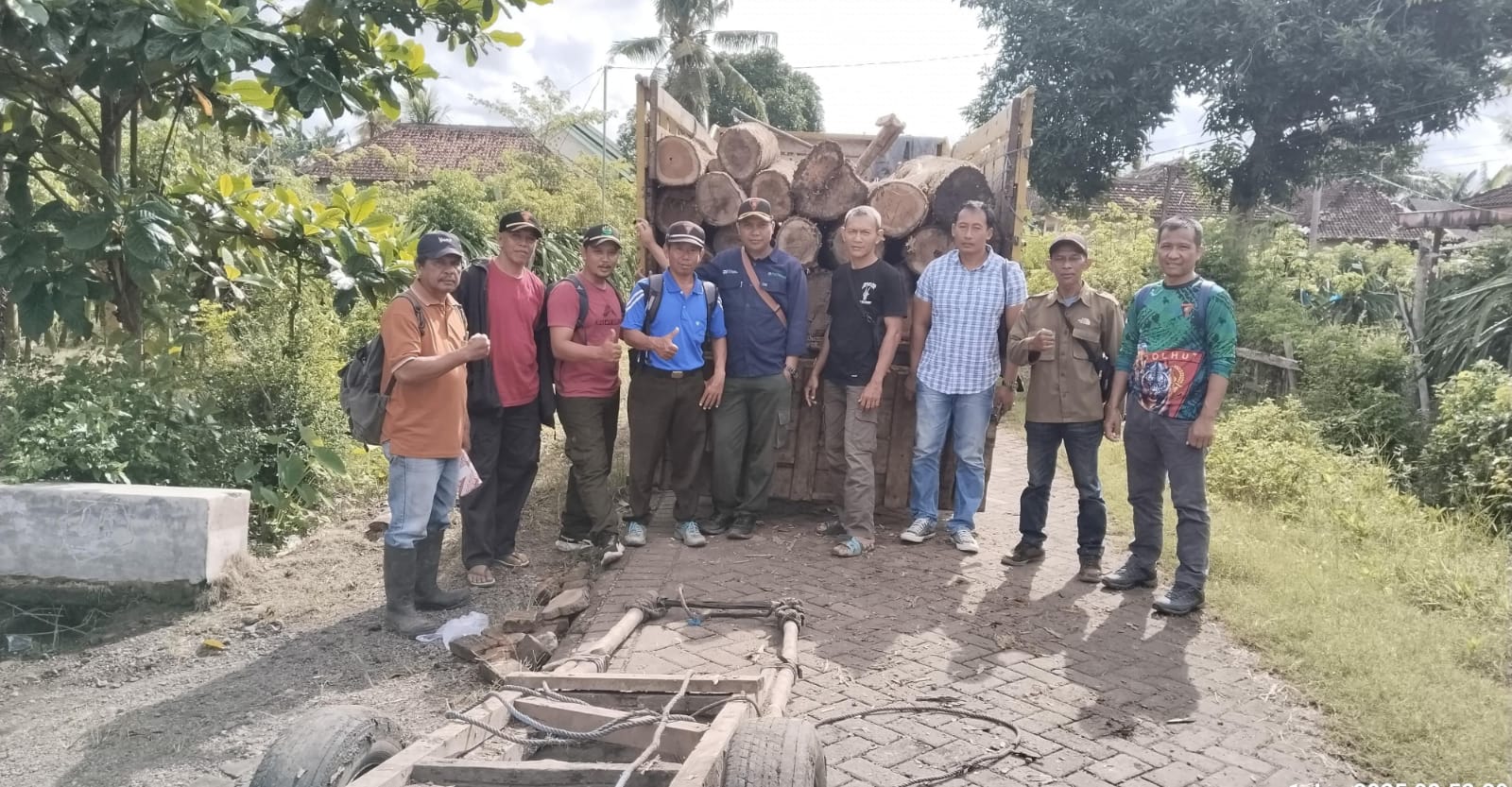 puluhan-glondongan-kayu-jati-ilegal-diamankan-petugas-gabungan