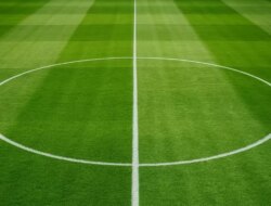 Inilah Alasan Kenapa Rumput Lapangan Memiliki Pola Belang-Belang