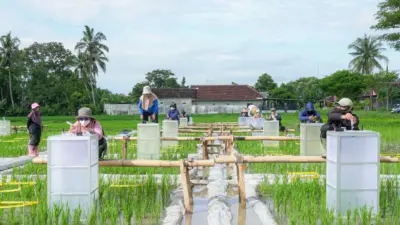 banyuwangi-kembangkan-beras-biofortifikasi,-kaya-vitamin,-zat-besi-hingga-zinc