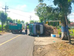 Diduga Over Load Muatan Truk Muat Tebu Terguling di Glemore
