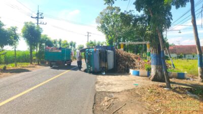 diduga-over-load-muatan-truk-muat-tebu-terguling-di-glemore