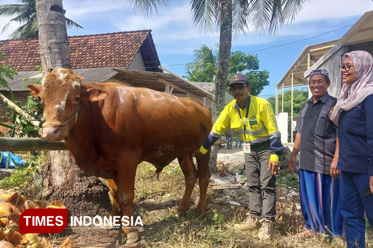 idul-adha-2025,-tambang-emas-pt-bsi-bagikan-67-ekor-hewan-kurban-–-times-banyuwangi