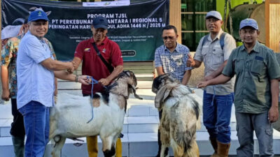 idul-adha-2025,-ptpn-i-regional-5-bagikan-hewan-kurban-pada-warga-perkebunan-di-lima-kabupaten-–-times-banyuwangi