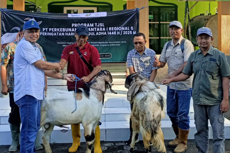 idul-adha-2025,-ptpn-i-regional-5-bagikan-hewan-kurban-pada-warga-perkebunan-di-lima-kabupaten-–-times-banyuwangi