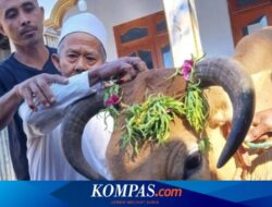 Idul Adha di Banyuwangi: Melihat Uniknya Tradisi Kurban Suku Osing