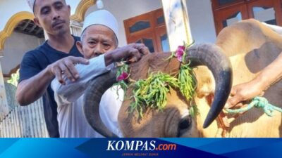 idul-adha-di-banyuwangi:-melihat-uniknya-tradisi-kurban-suku-osing