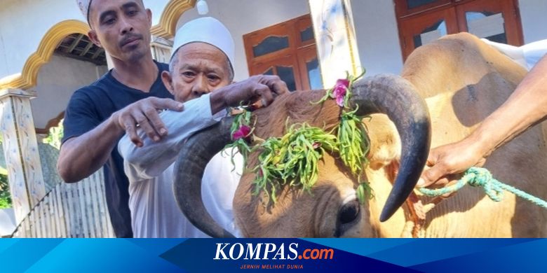 idul-adha-di-banyuwangi:-melihat-uniknya-tradisi-kurban-suku-osing