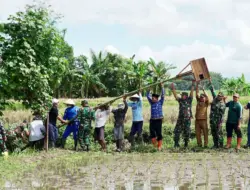 Banyuwangi Sebar Burung Hantu Untuk Tangani Hama Tikus