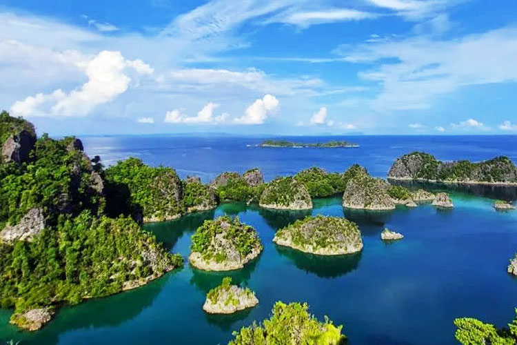 kemenhut-awasi-ketat-aktivitas-tambang-di-hutan-raja-ampat,-siapkan-tindakan-hukum-tegas-–-times-banyuwangi