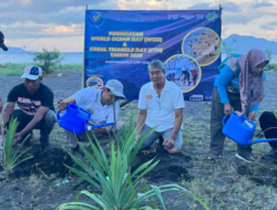 Peringati Hari Segitiga Terumbu Karang 2025, Warga Pesisir Pulau Santen dan Banyuwangi Sea Turtle Foundation Tanam Puluhan Pohon Pandan Laut
