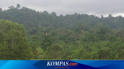 bertualang-di-alas-purwo