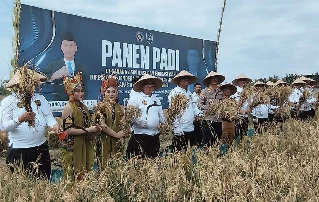 dukung-ketahanan-pangan,-lapas-banyuwangi-panen-padi-di-lahan-sarana-asimilasi-dan-esukasi