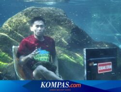 Sensasi Foto Antimainstream di Spot Underwater Sendang Seruni Banyuwangi