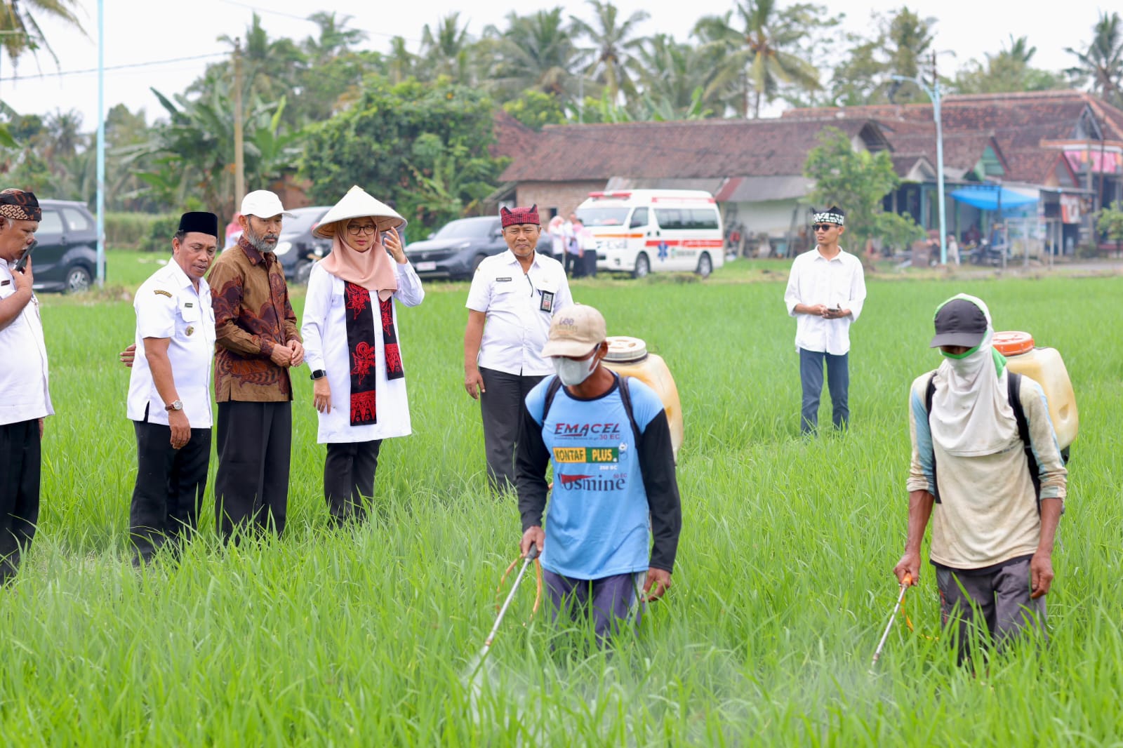 sejalan-dengan-swasembada-pangan-presiden-prabowo,-produksi-beras-banyuwangi-surplus-159-ribu-ton