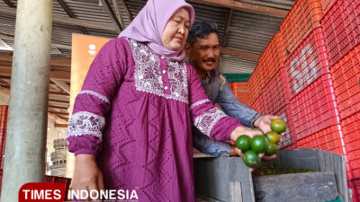 kantongi-omzet-rp-160-juta,-btpn-syariah-bantu-emak-di-banyuwangi-ubah-mimpi-jadi-nyata-–-times-banyuwangi