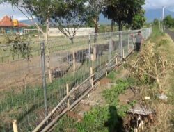 Lapangan Bima Sakti Sidodadi Banyuwangi Kian Tertata, Pagar Besi Gantikan Pagar Bambu