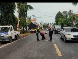 Kecelakaan Beruntun Libatkan Truk Isuzu, Toyota Hiace dan Honda Vario di Ketapang Banyuwangi