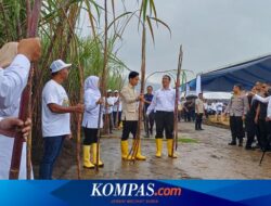 Panen Raya Tebu di Banyuwangi, Wapres Gibran Serahkan Pompa Air hingga 100 Ton Bibit Tebu
