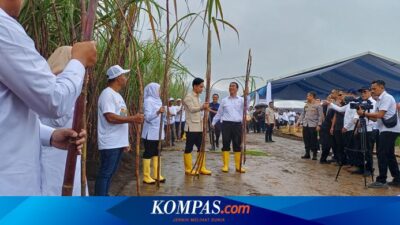 panen-raya-tebu-di-banyuwangi,-wapres-gibran-serahkan-pompa-air-hingga-100-ton-bibit-tebu