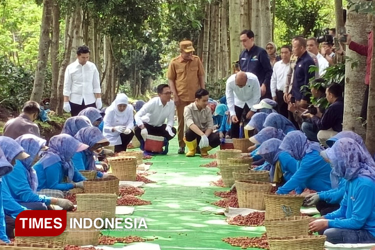 bertemu-wapres-gibran,-ini-harapan-petani-kopi-ijen-bondowoso-saat-–-times-banyuwangi