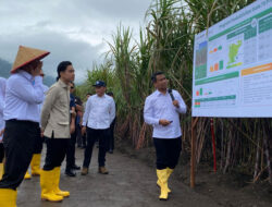 Wapres Panen Tebu di HGU PG Glenmore PT SGN, Dukung Percepatan Swasembada Gula – TIMES Banyuwangi