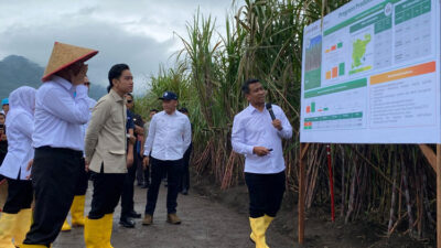 wapres-panen-tebu-di-hgu-pg-glenmore-pt-sgn,-dukung-percepatan-swasembada-gula-–-times-banyuwangi