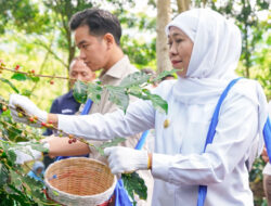 Panen Raya Kopi Bersama Wapres, Gubernur Khofifah Kenalkan Communal Branding – TIMES Banyuwangi