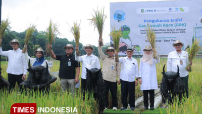 melalui-padi-biofortifikasi-sunwangi,-angkat-kesehatan-dan-ekonomi-warga-banyuwangi-–-times-banyuwangi