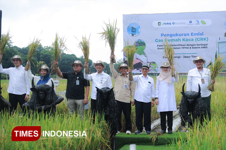 melalui-padi-biofortifikasi-sunwangi,-angkat-kesehatan-dan-ekonomi-warga-banyuwangi-–-times-banyuwangi