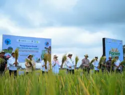 Ekosistem Beras Biofortifikasi, Langkah Strategis Perbaiki Gizi dan Jaga Stabilitas Harga Pangan