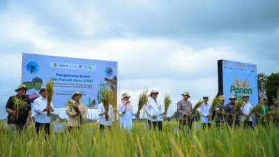 ekosistem-beras-biofortifikasi,-langkah-strategis-perbaiki-gizi-dan-jaga-stabilitas-harga-pangan