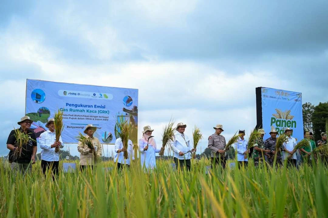 ekosistem-beras-biofortifikasi,-langkah-strategis-perbaiki-gizi-dan-jaga-stabilitas-harga-pangan
