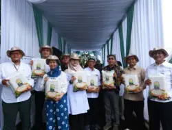 BGN Akan Jadikan Beras Bifortifikasi Sunwangi Sebagai Menu Dalam Program Makan Bergizi Gratis