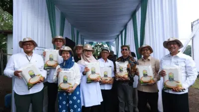 bgn-akan-jadikan-beras-bifortifikasi-sunwangi-sebagai-menu-dalam-program-makan-bergizi-gratis